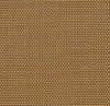 Bronze Apricot